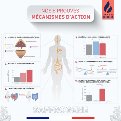Health infographic about Saffrogenic with human body illustration and graphs on a white background.